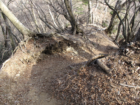 20190108hike (398)